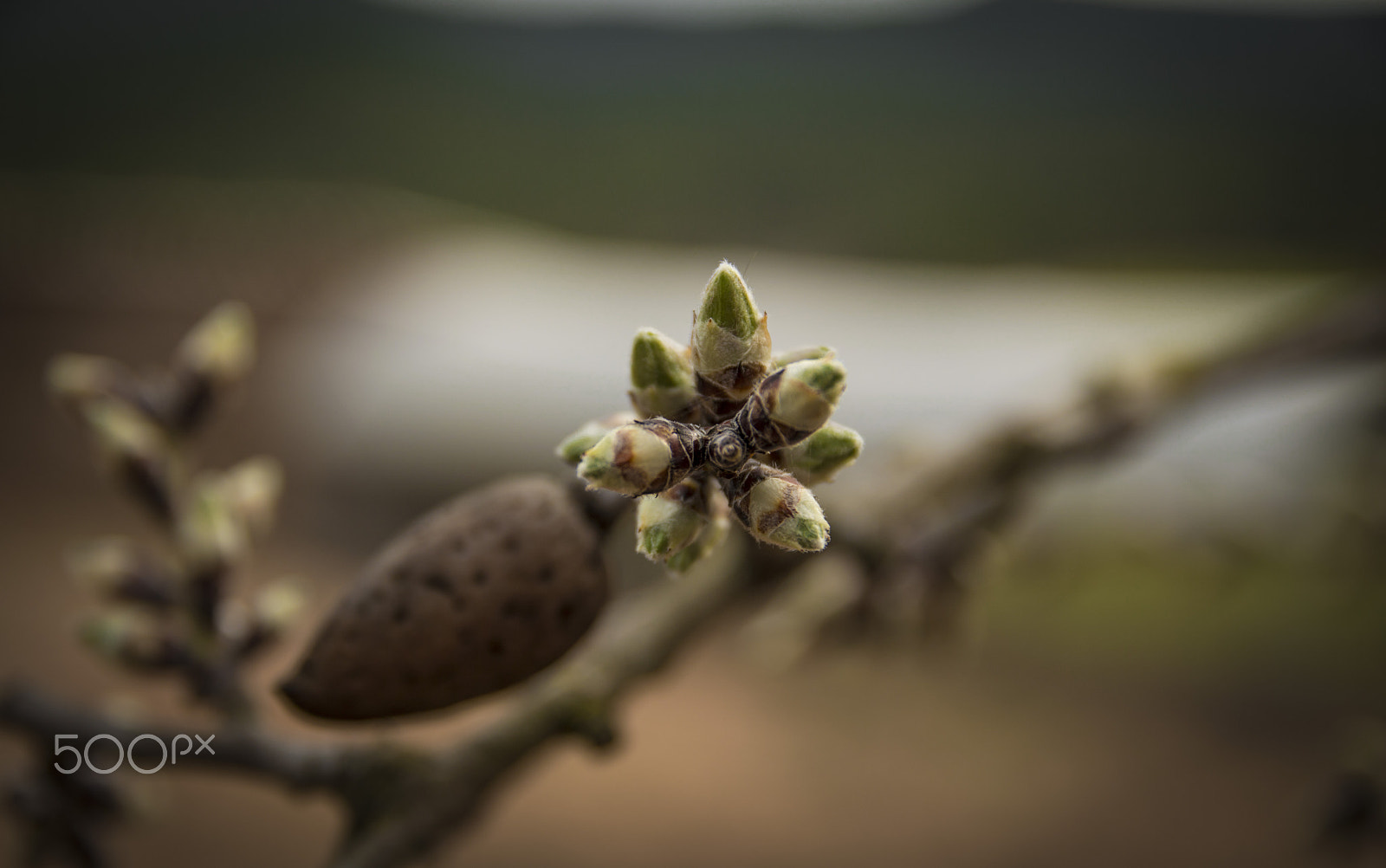 Sigma 17-70mm F2.8-4 DC Macro OS HSM | C sample photo. New generation photography