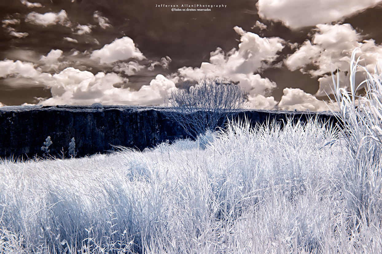 Canon EF 8-15mm F4L Fisheye USM sample photo. Infrared photography