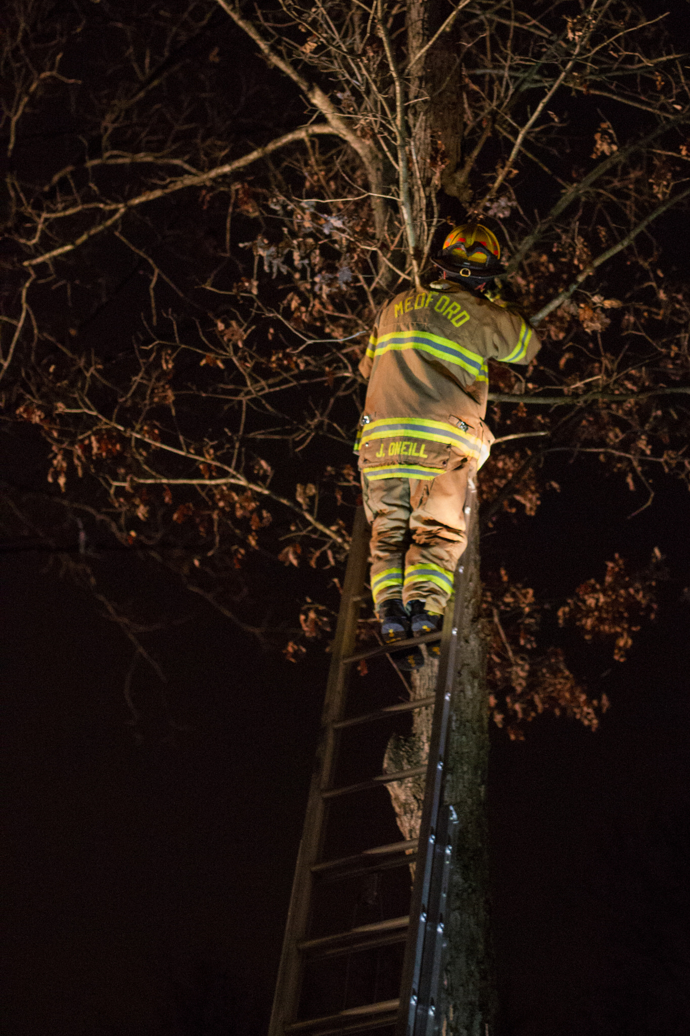 Canon EOS-1D Mark IV sample photo. Lieutenant james o'neill rescued a cat from a tree in the backyard of a medford residence sunday, de photography