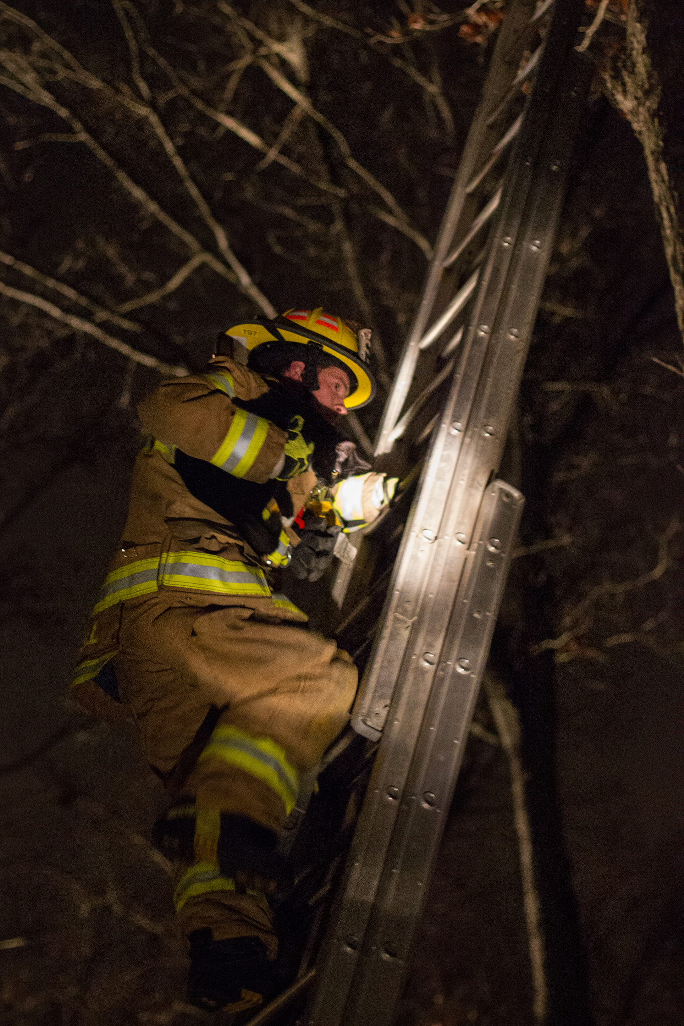 Canon EOS-1D Mark IV sample photo. Lieutenant james o'neill rescued a cat from a tree in the backyard of a medford residence sunday, de photography