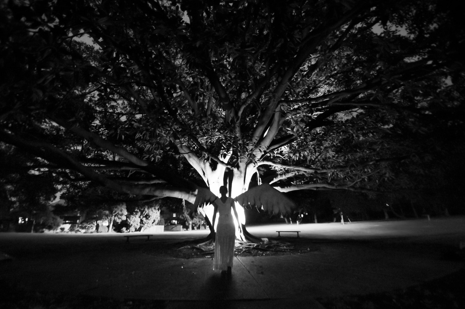 Nikon D2X sample photo. Angle series 2013 photography