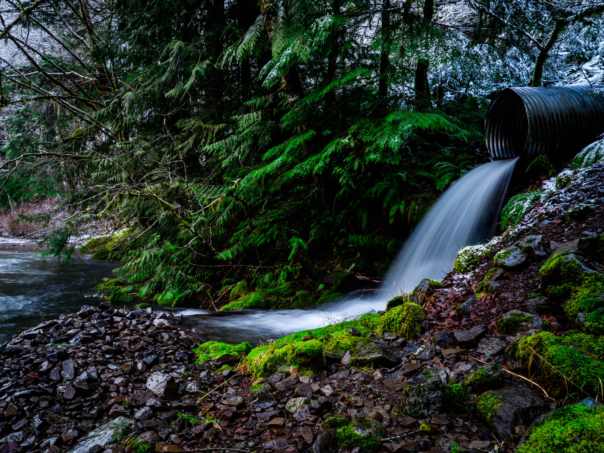 Panasonic Lumix DMC-GX8 sample photo. The salmon river welches or.   photography