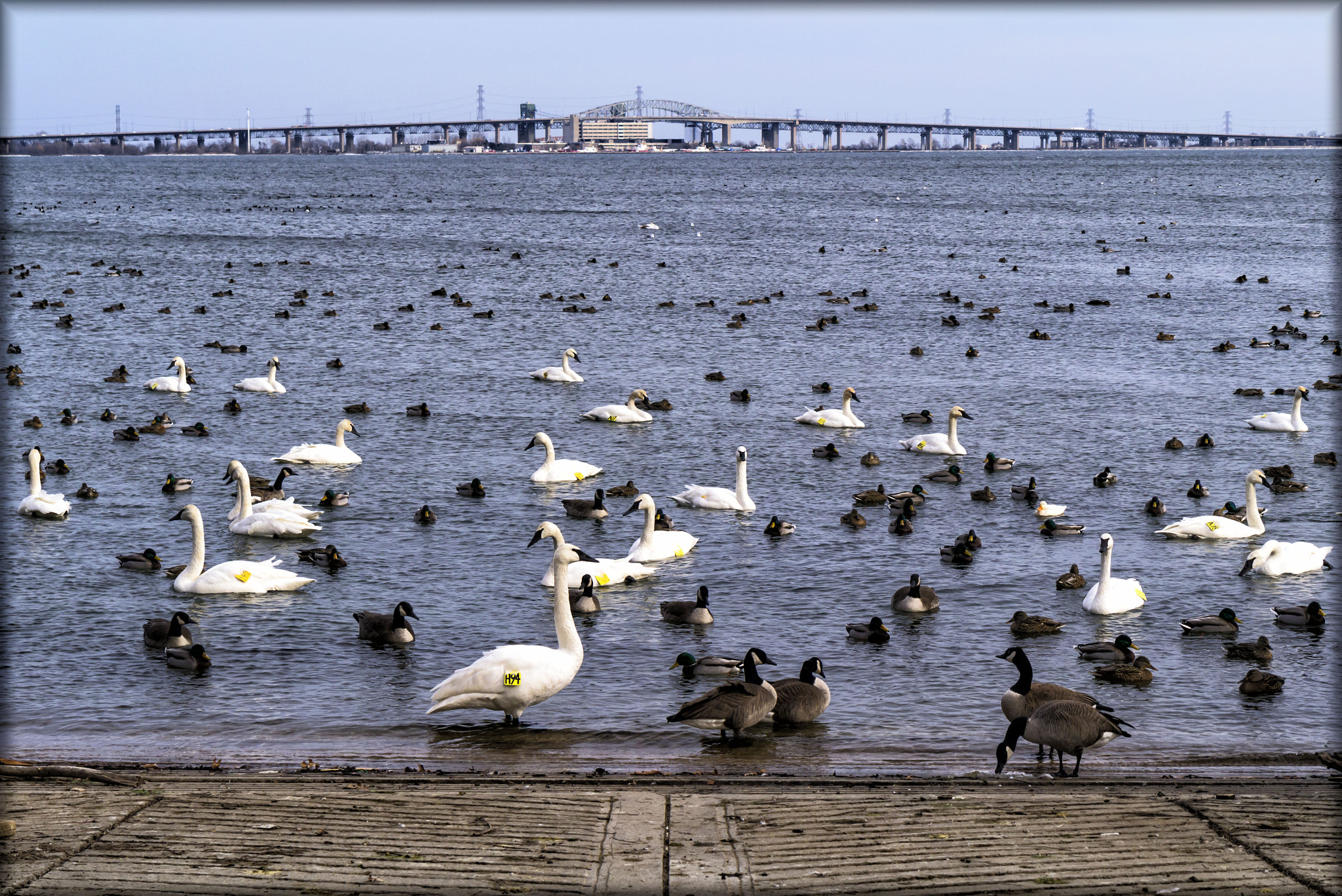 Panasonic Lumix DMC-GX1 sample photo. Le salle park & marina photography