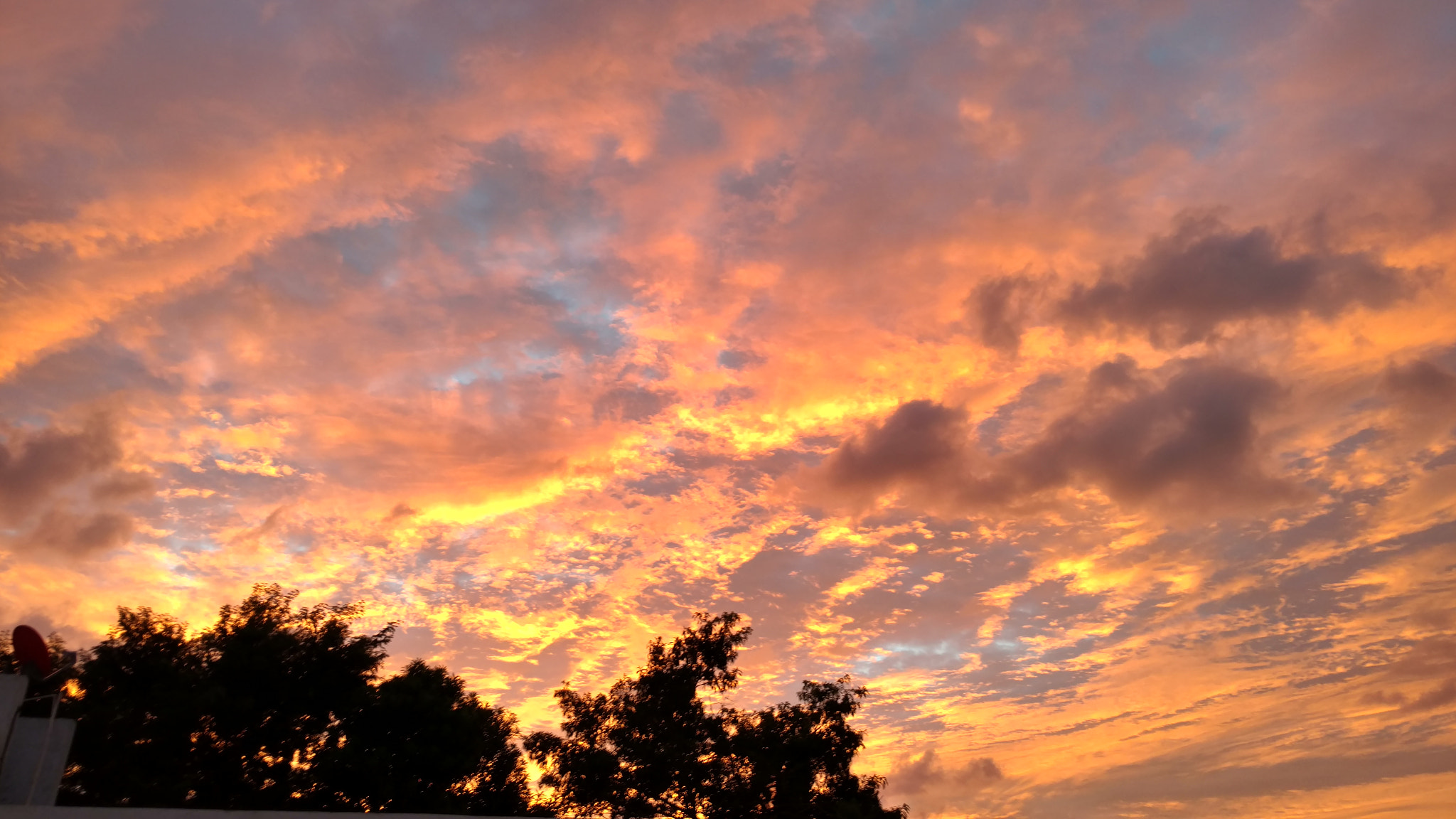 Motorola Moto X Force sample photo