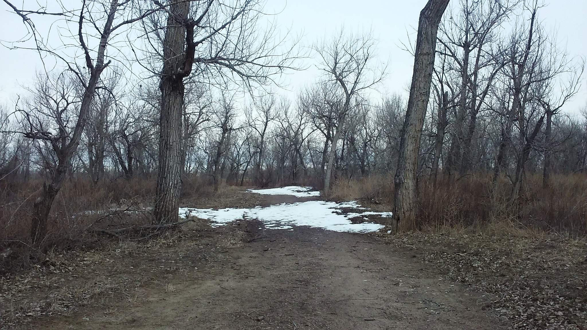 LG POWER sample photo. The fork. photography