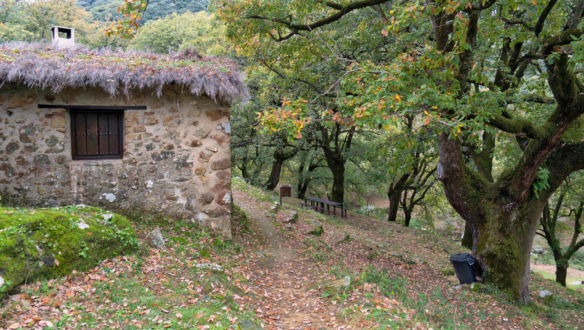 Sony DT 16-105mm F3.5-5.6 sample photo. Cabañas photography