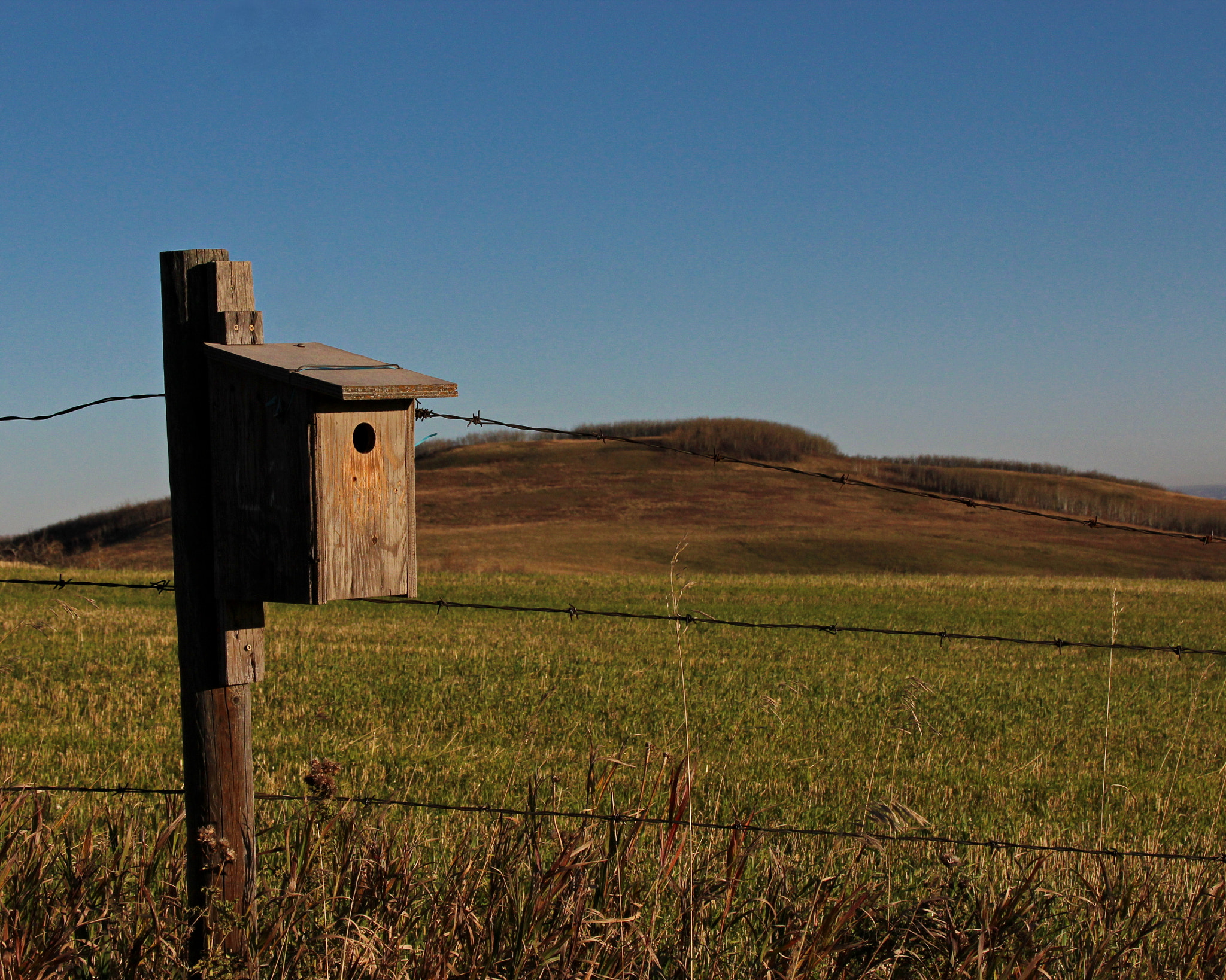 Canon EF 28-135mm F3.5-5.6 IS USM sample photo. Little bird house on the prairie photography