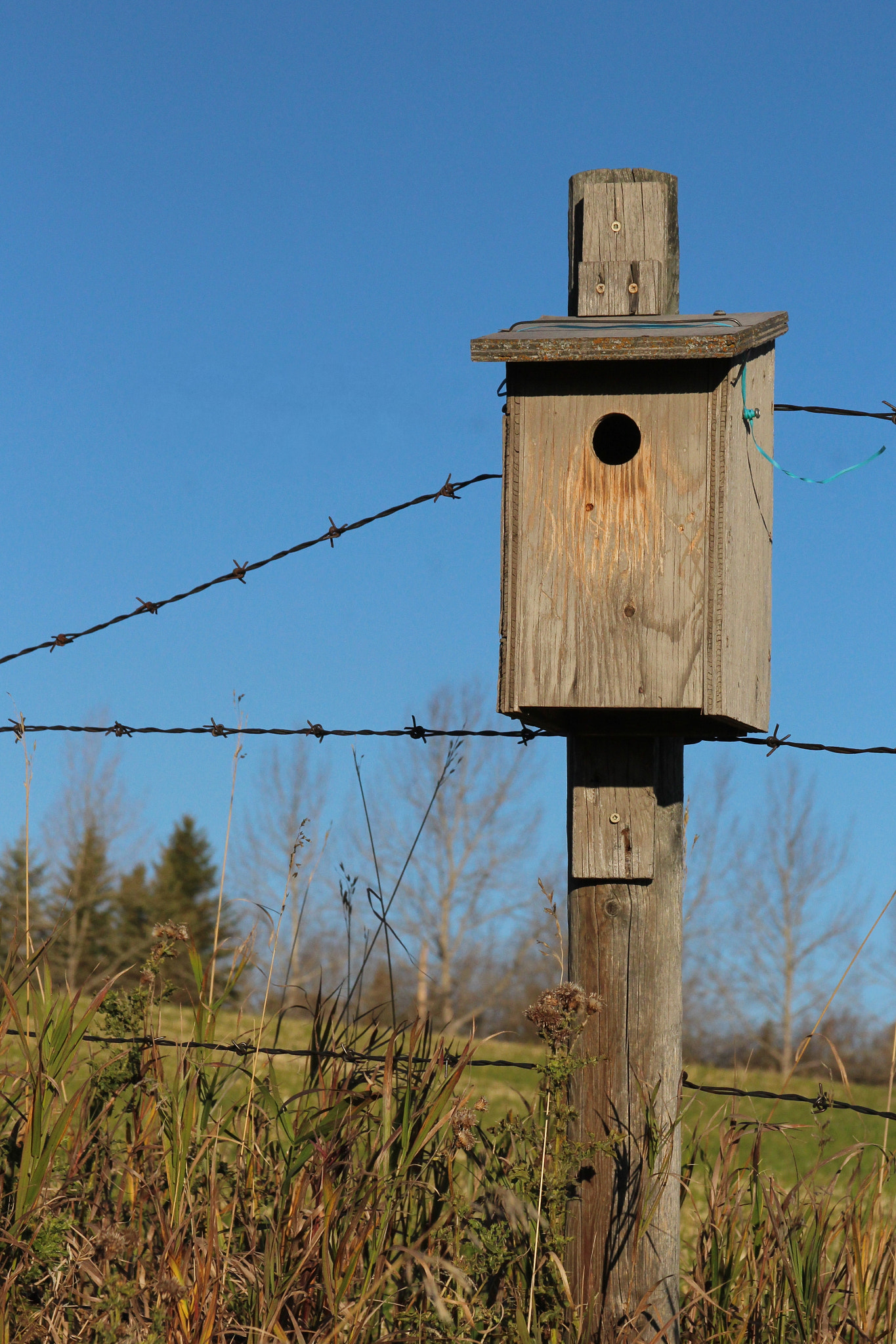 Canon EF 28-135mm F3.5-5.6 IS USM sample photo. Little bird house on the prairie photography
