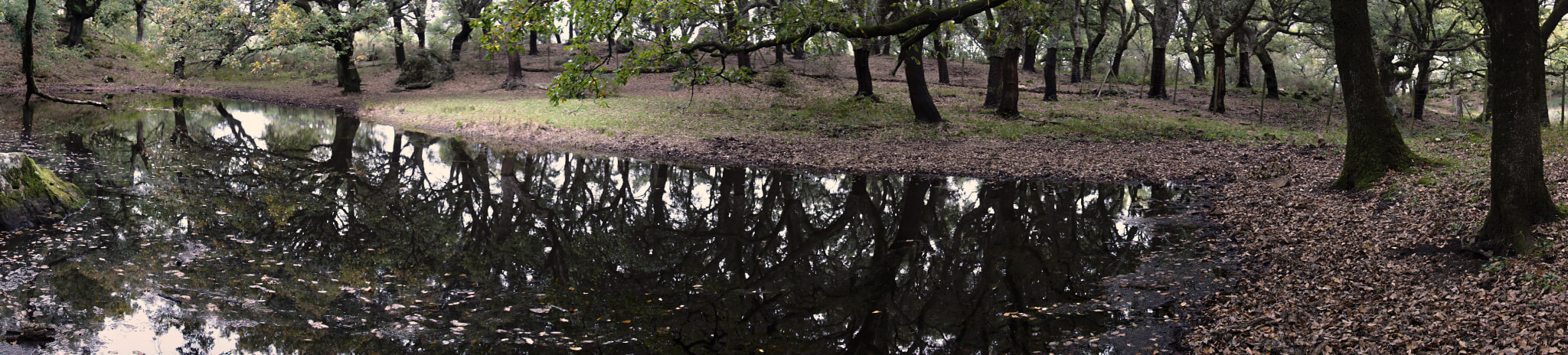 Sony DT 16-105mm F3.5-5.6 sample photo. Laguna del moral photography