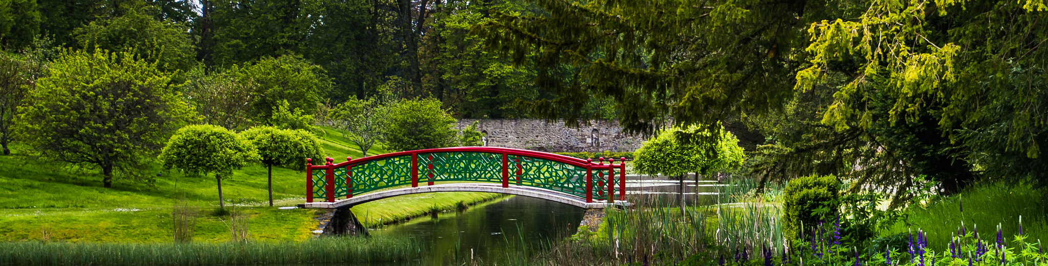 Canon EOS 100D (EOS Rebel SL1 / EOS Kiss X7) sample photo. Garden bridge photography