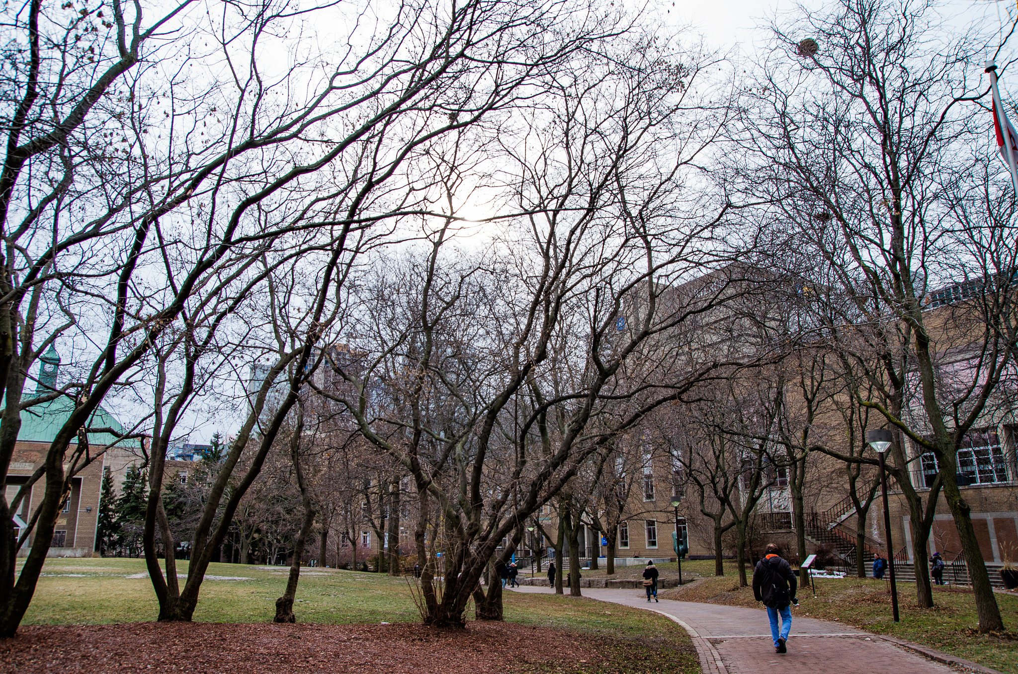 Pentax K-5 II sample photo. Walk in the park photography