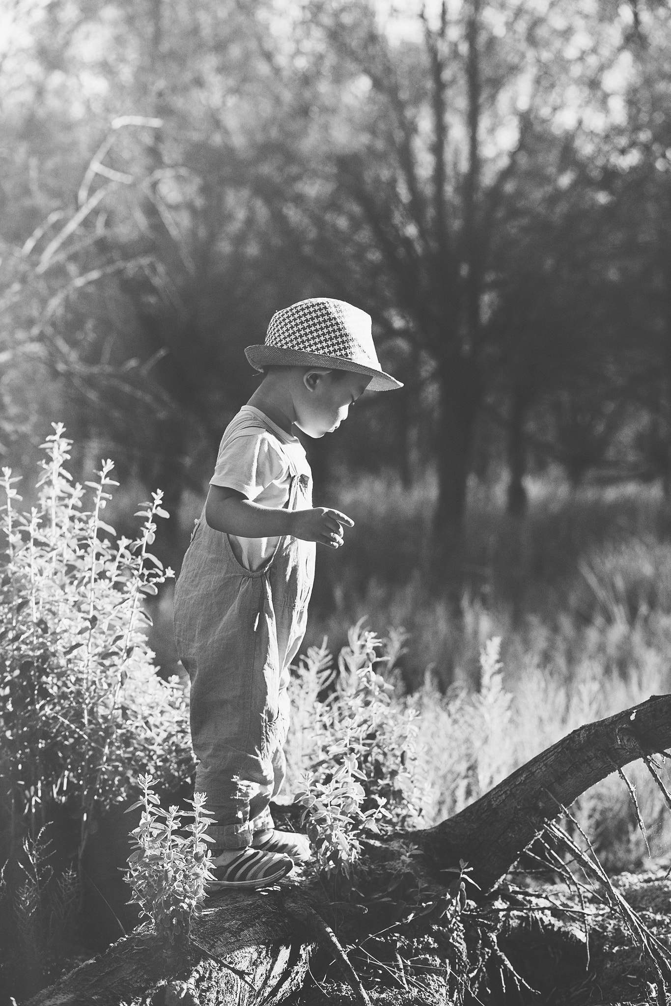 Sony a7 + Canon EF 85mm F1.8 USM sample photo. Country boy photography