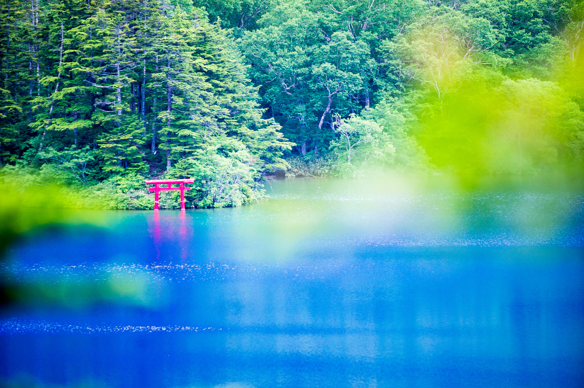 Sony 70-200mm F2.8 G SSM II sample photo. Red photography