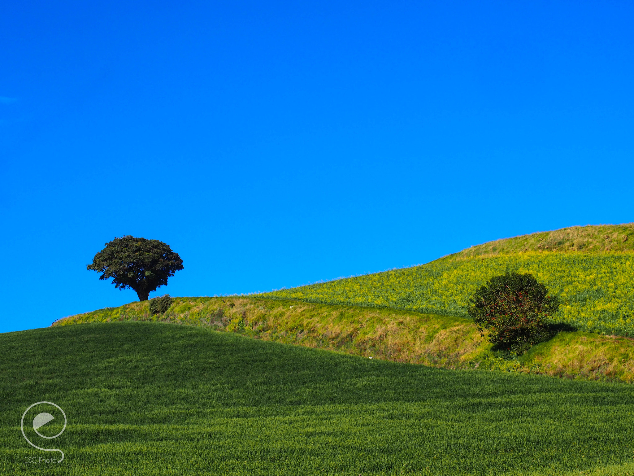 Olympus PEN E-PM2 sample photo. Wallpaper photography