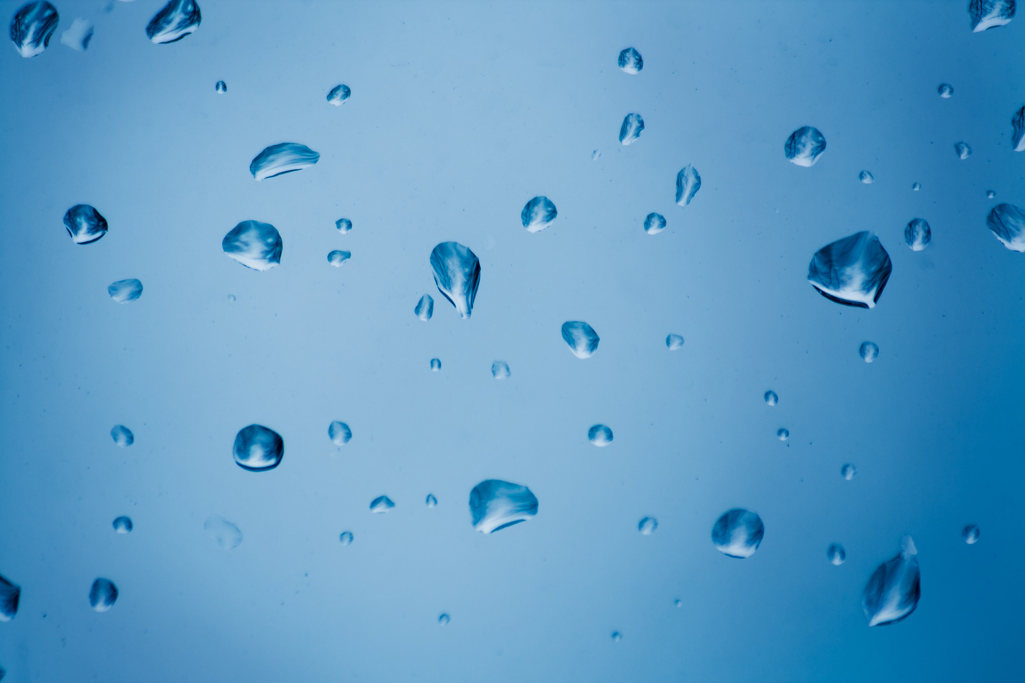 Sigma 70-300mm F4-5.6 APO DG Macro sample photo. Raindrops photography