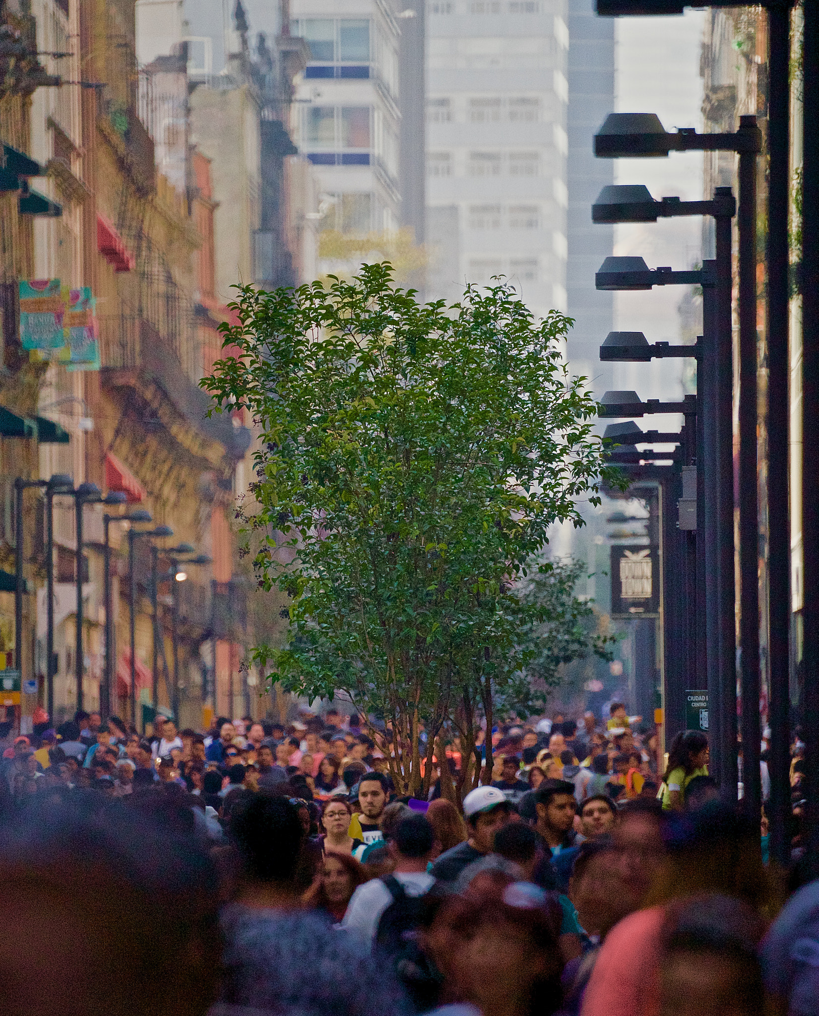 Sony a99 II + Sony 500mm F8 Reflex sample photo. "sobreviviendo a la ciudad" photography