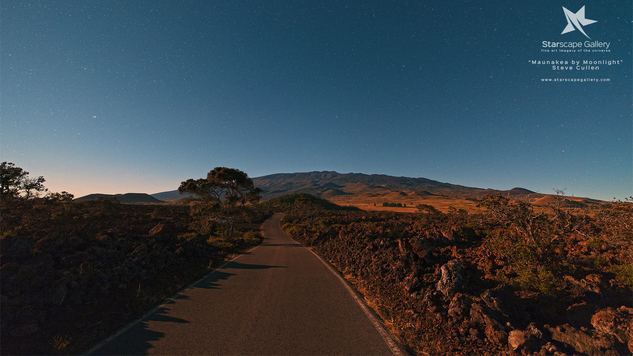 Nikon D810A sample photo. Maunakea by moonlight photography