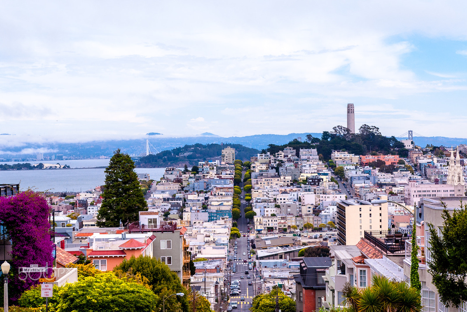 Nikon D90 + Sigma 18-35mm F1.8 DC HSM Art sample photo. View from the crooked road, san francisco photography