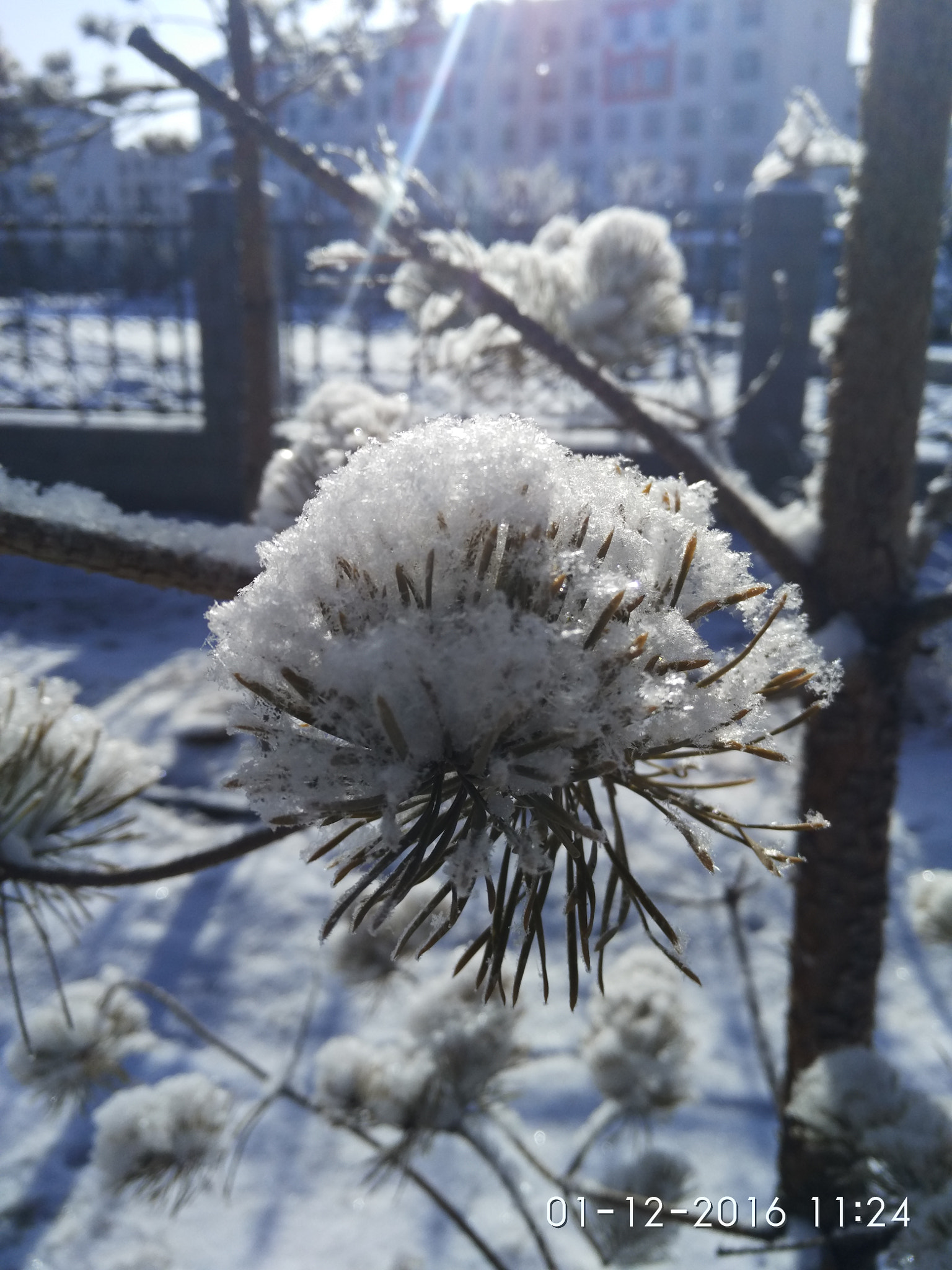 Xiaomi MI NOTE Pro sample photo