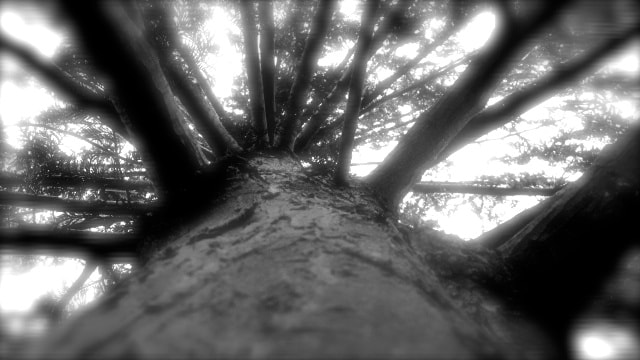 Canon PowerShot ELPH 115 IS (IXUS 132 / IXY 90F) sample photo. Version photography