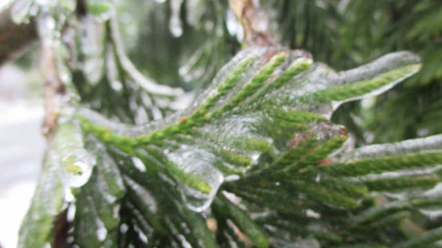 Canon PowerShot ELPH 115 IS (IXUS 132 / IXY 90F) sample photo. Version photography