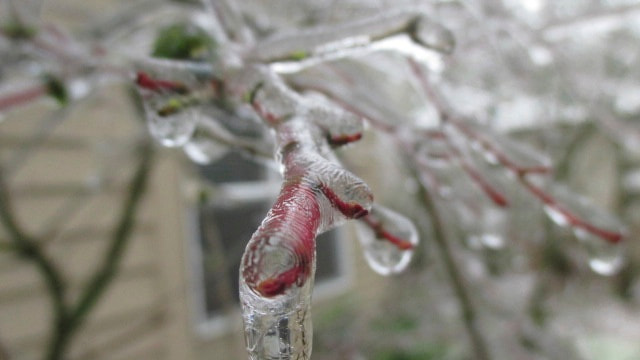 Canon PowerShot ELPH 115 IS (IXUS 132 / IXY 90F) sample photo. Version photography