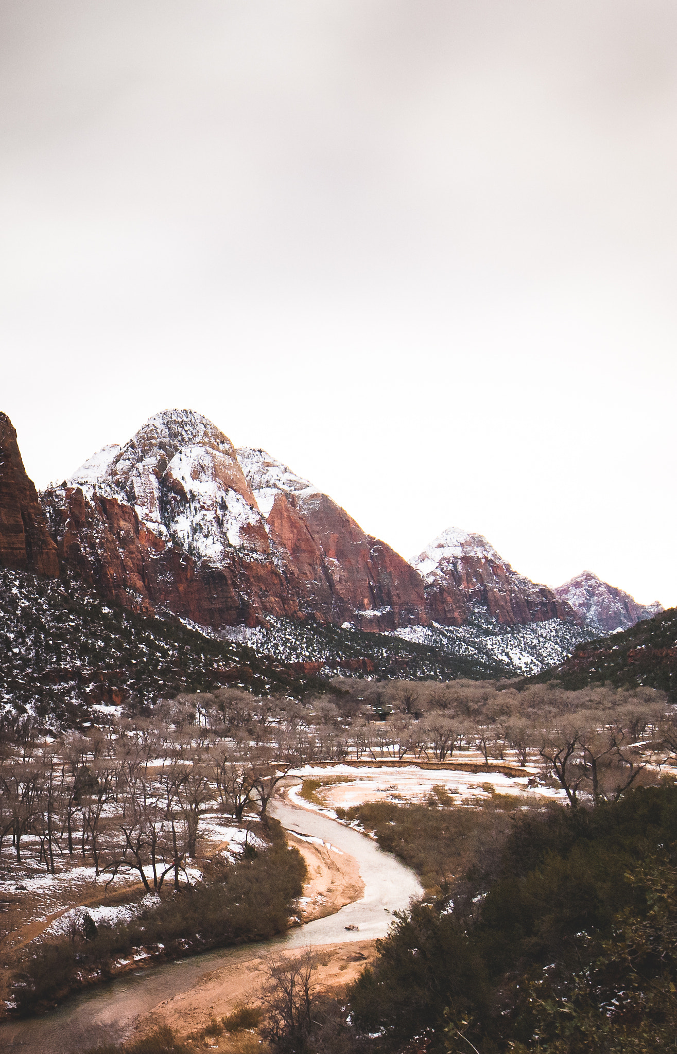 Samyang 14mm F2.8 ED AS IF UMC sample photo. Virgin river, zion national park photography