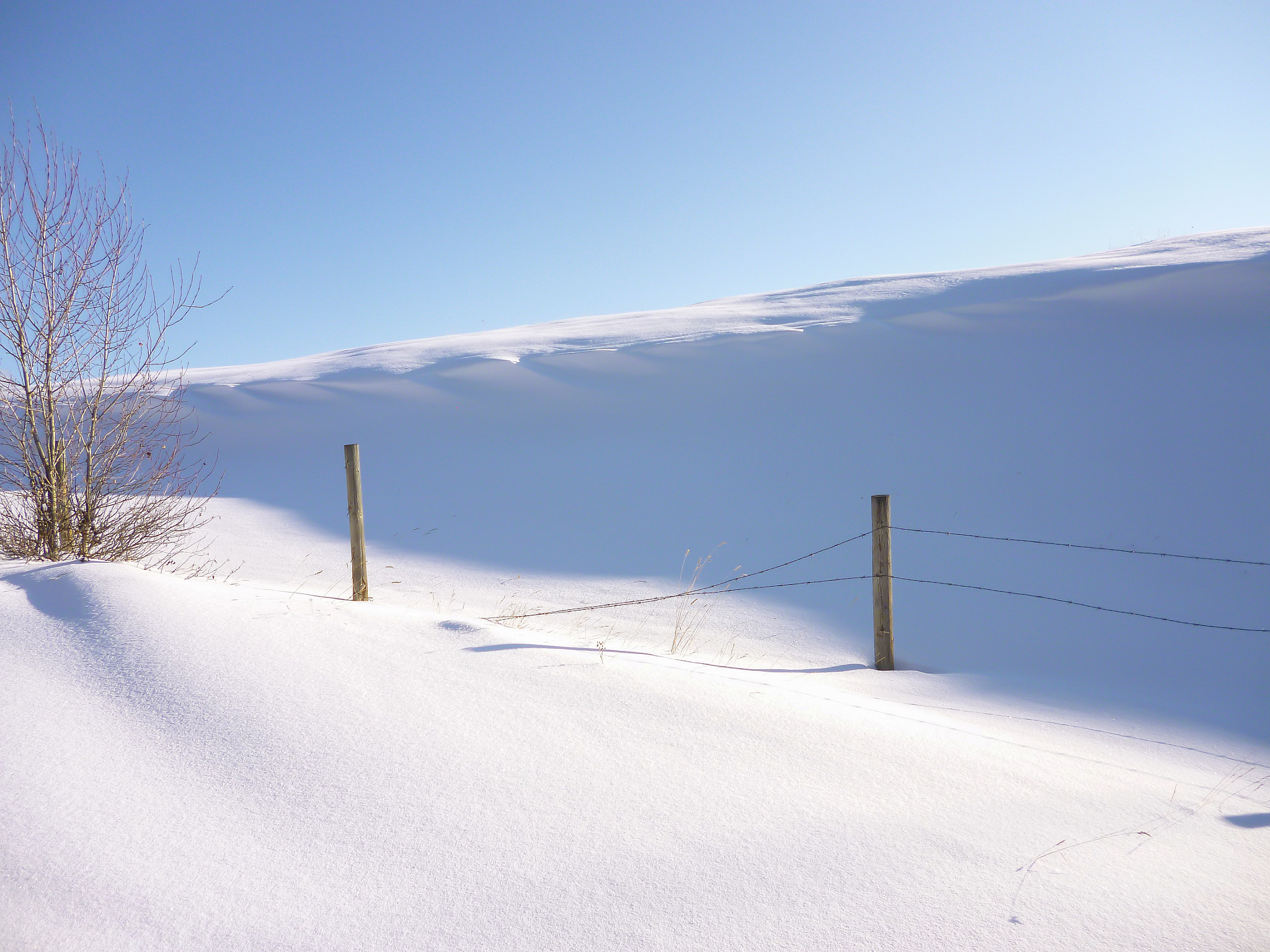 Panasonic DMC-FS18 sample photo. Let it snow photography