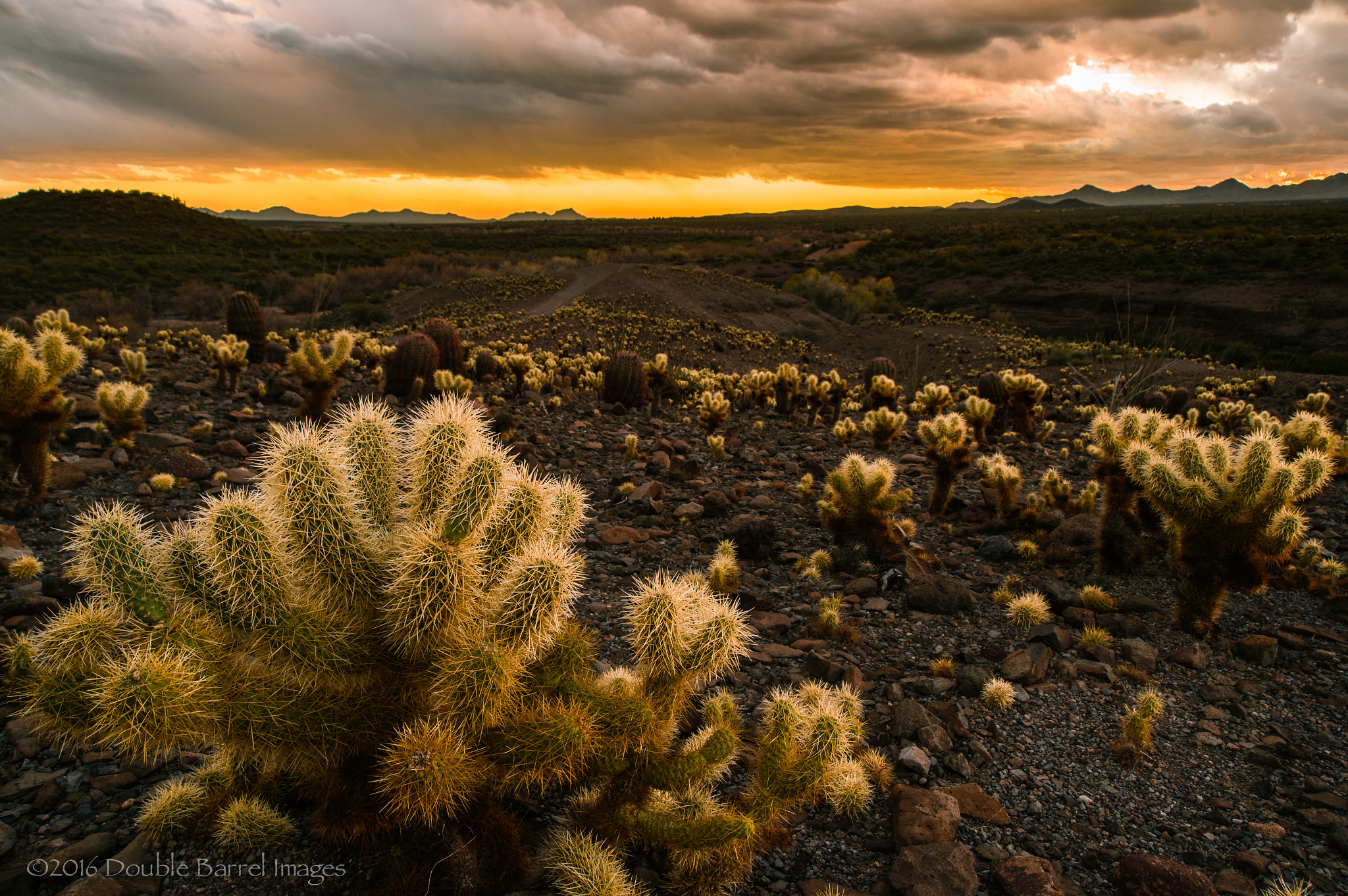 AF Zoom-Nikkor 24-120mm f/3.5-5.6D IF sample photo. Camp creek sunset ii photography