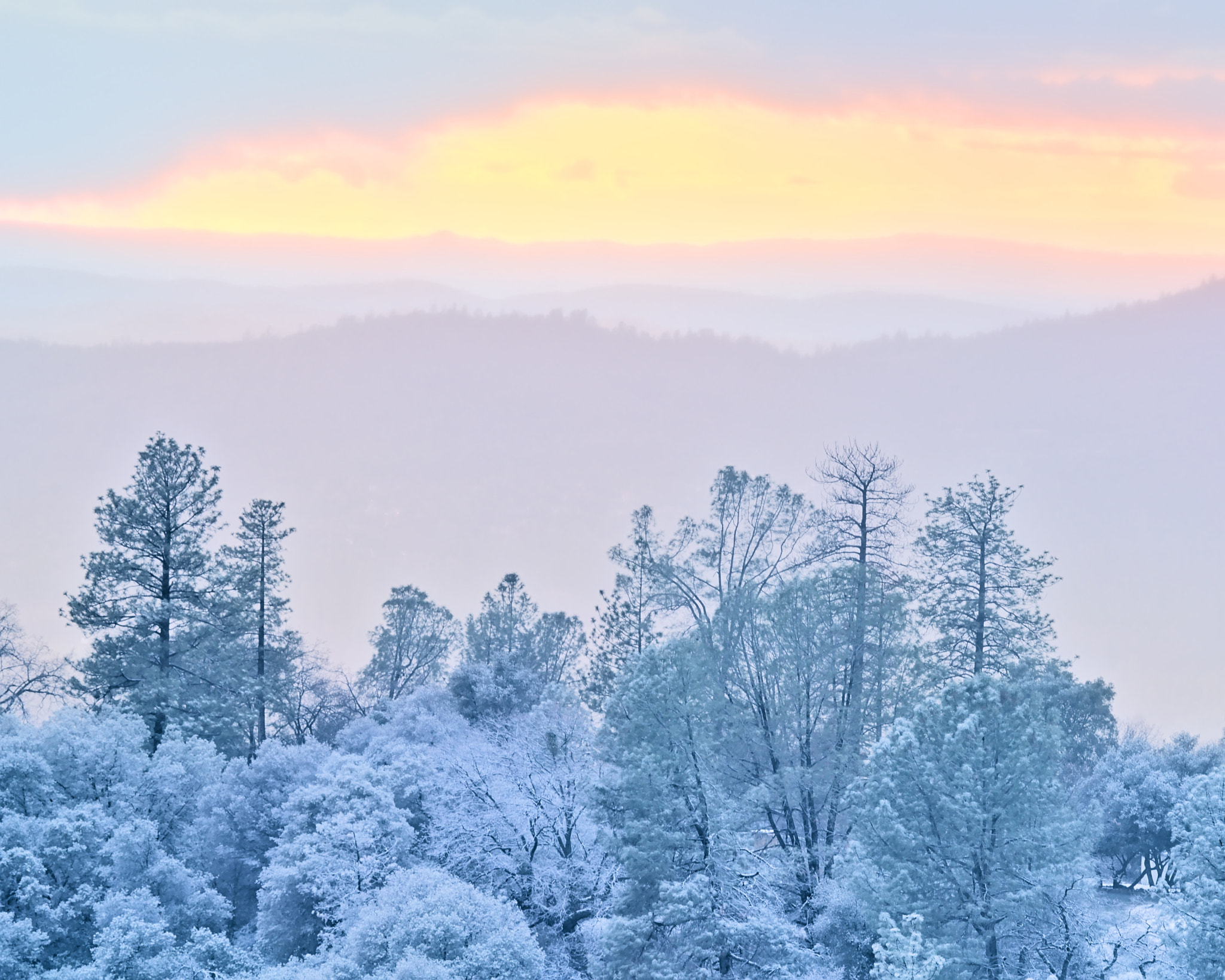 Canon EF 100-400mm F4.5-5.6L IS USM sample photo. #snowfilter photography