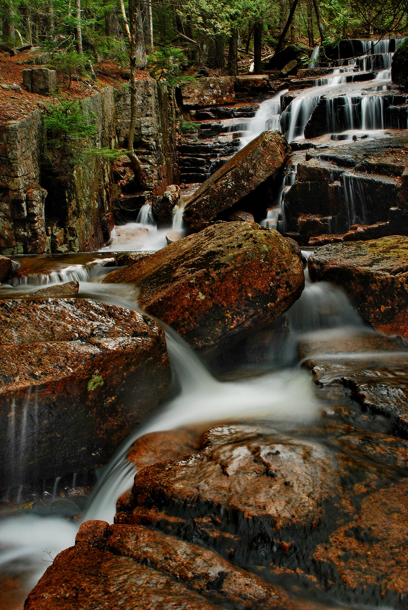 Nikon D80 + Sigma 18-50mm F3.5-5.6 DC sample photo. Somewhere deep in acadia photography