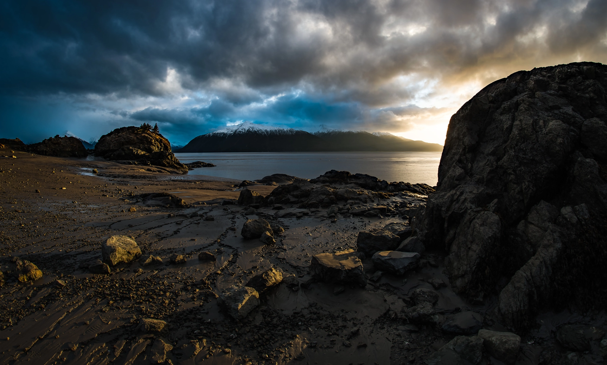 Samyang 12mm F2.8 ED AS NCS Fisheye sample photo. One more beluga photography