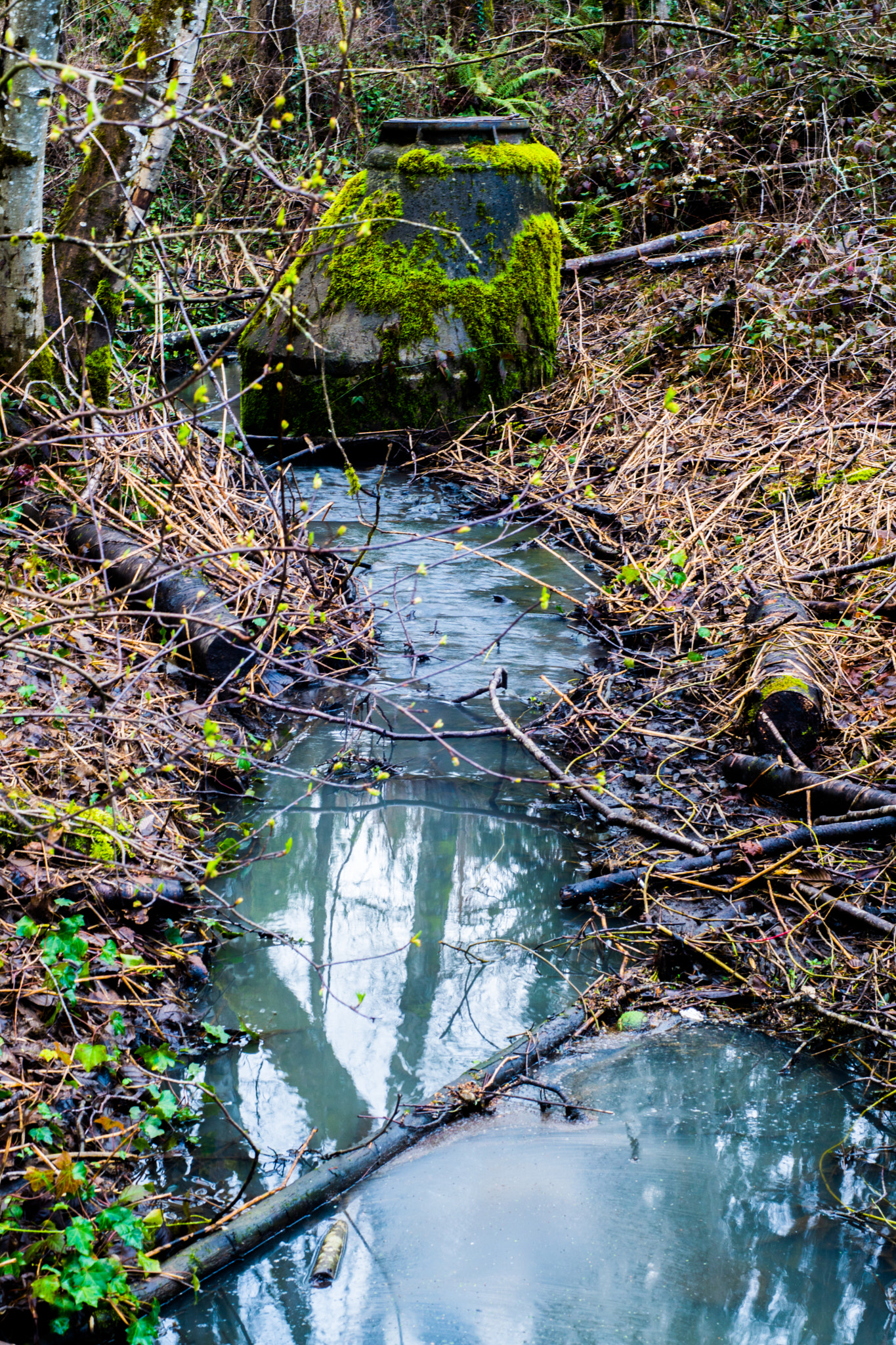 Sony ILCA-77M2 + Minolta AF 50mm F1.4 [New] sample photo. Sewer creek photography