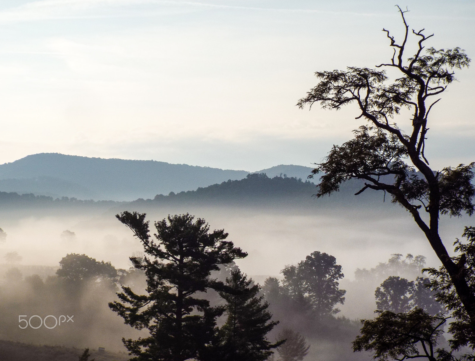 Fujifilm FinePix S8500 sample photo. A foggy blue ridge mountain morning photography