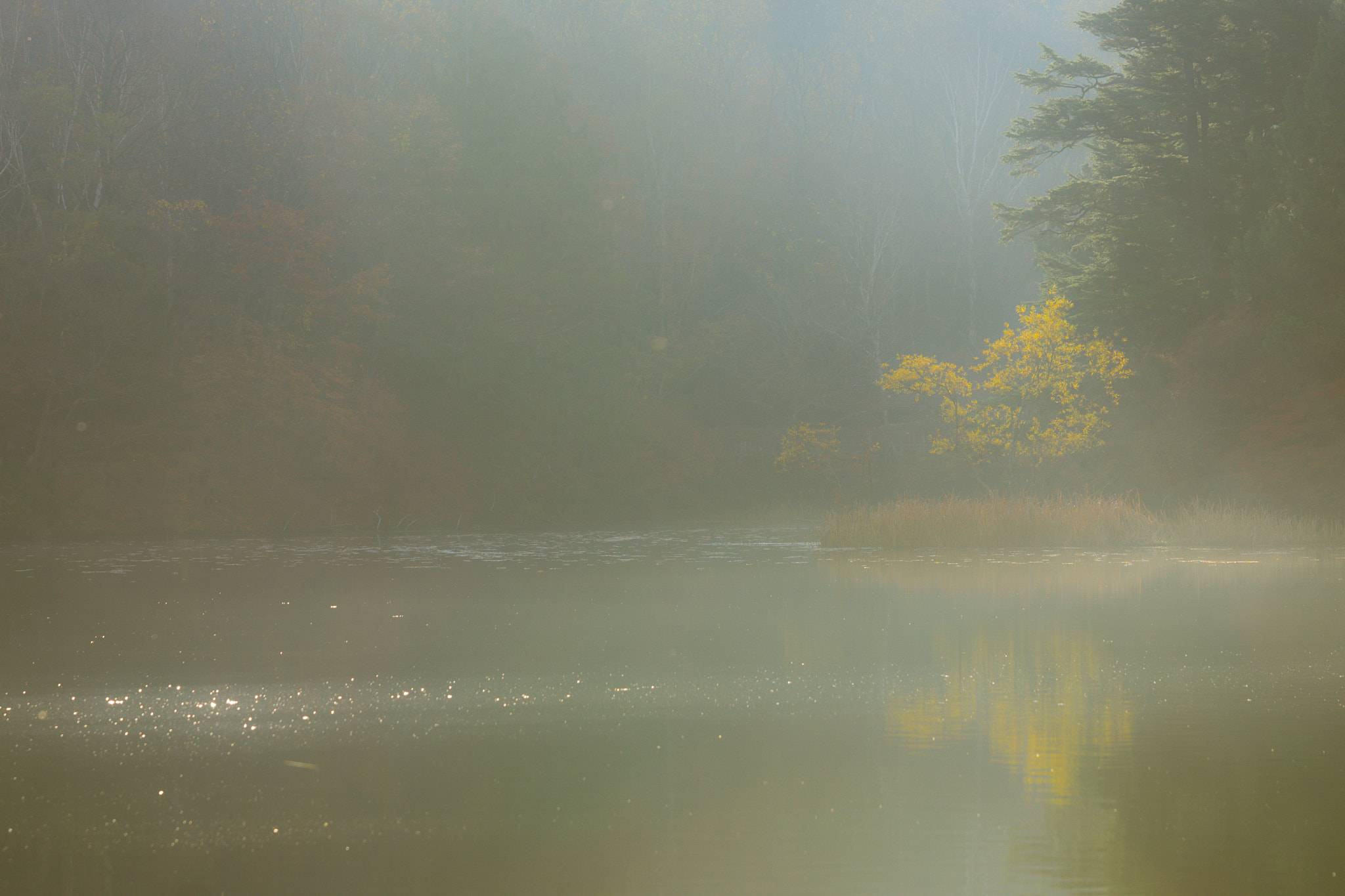 Sony 70-200mm F2.8 G SSM II sample photo. Early morning photography
