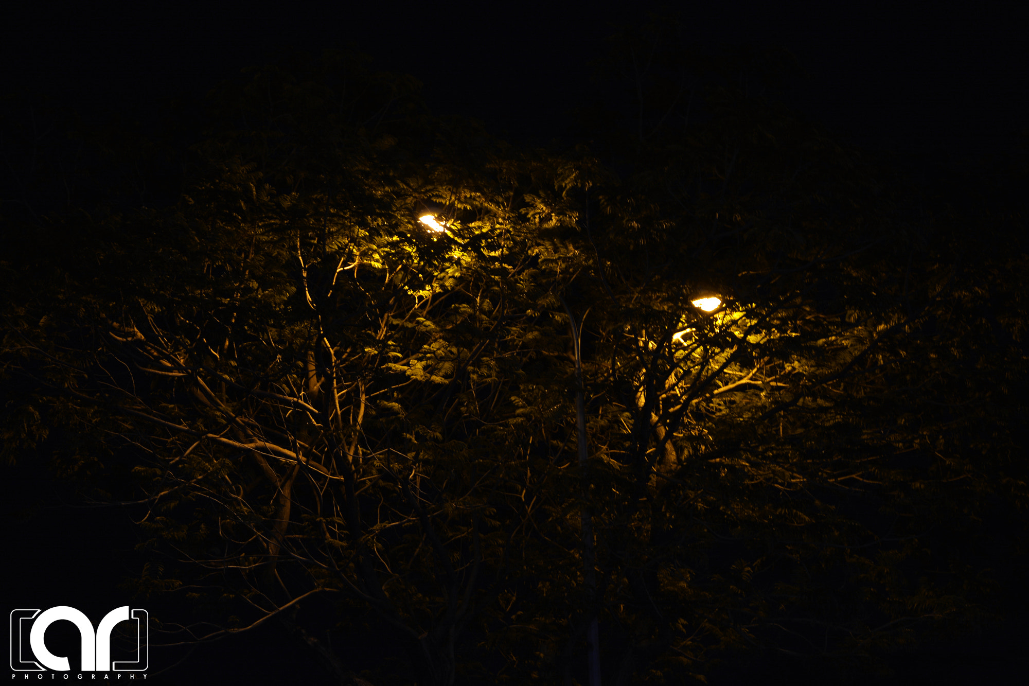 AF Zoom-Nikkor 35-135mm f/3.5-4.5 N sample photo. Light in the darkness photography