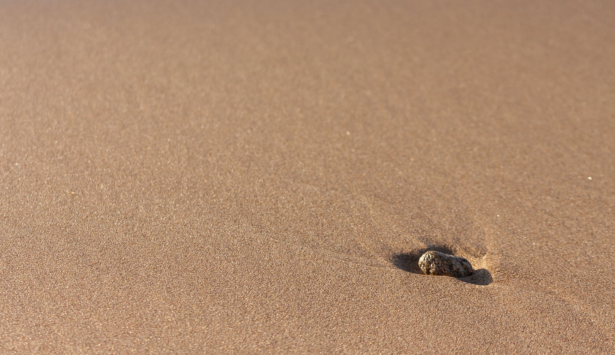 Sigma 70-300mm F4-5.6 APO DG Macro sample photo. Beach texture photography