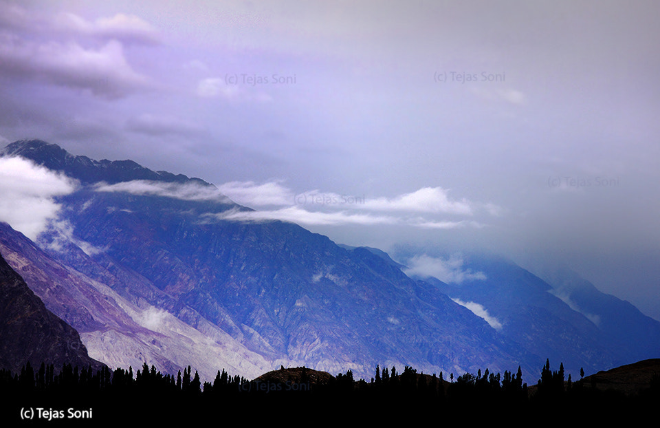 Sigma 70-200mm F2.8 EX DG OS HSM sample photo. Nubra valley photography