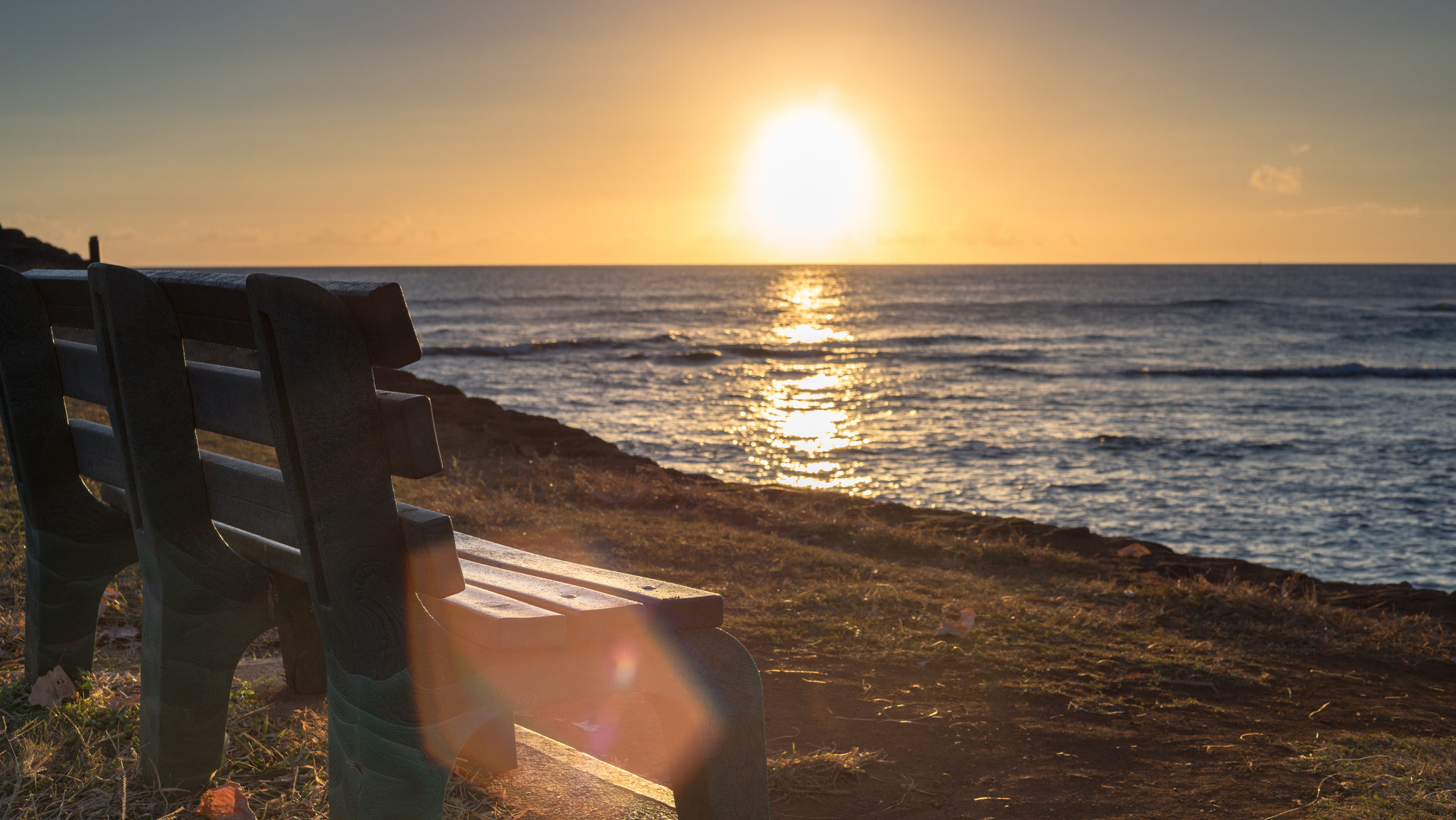 Sony a7R + Sony 70-400mm F4-5.6 G SSM sample photo. Alamoanapark photography