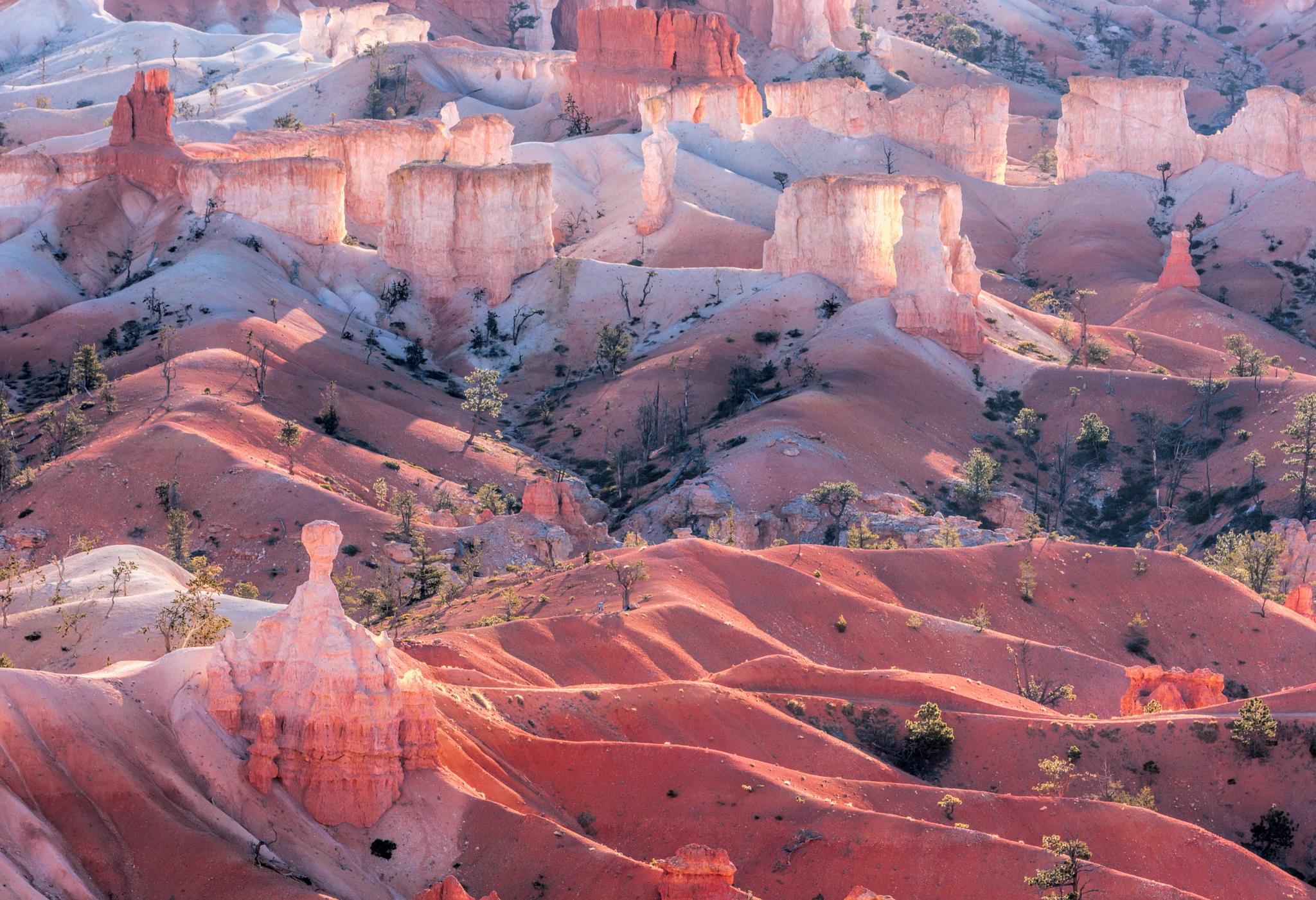 Canon EF 70-200mm F2.8L IS II USM sample photo. Bryce morning backlighting photography