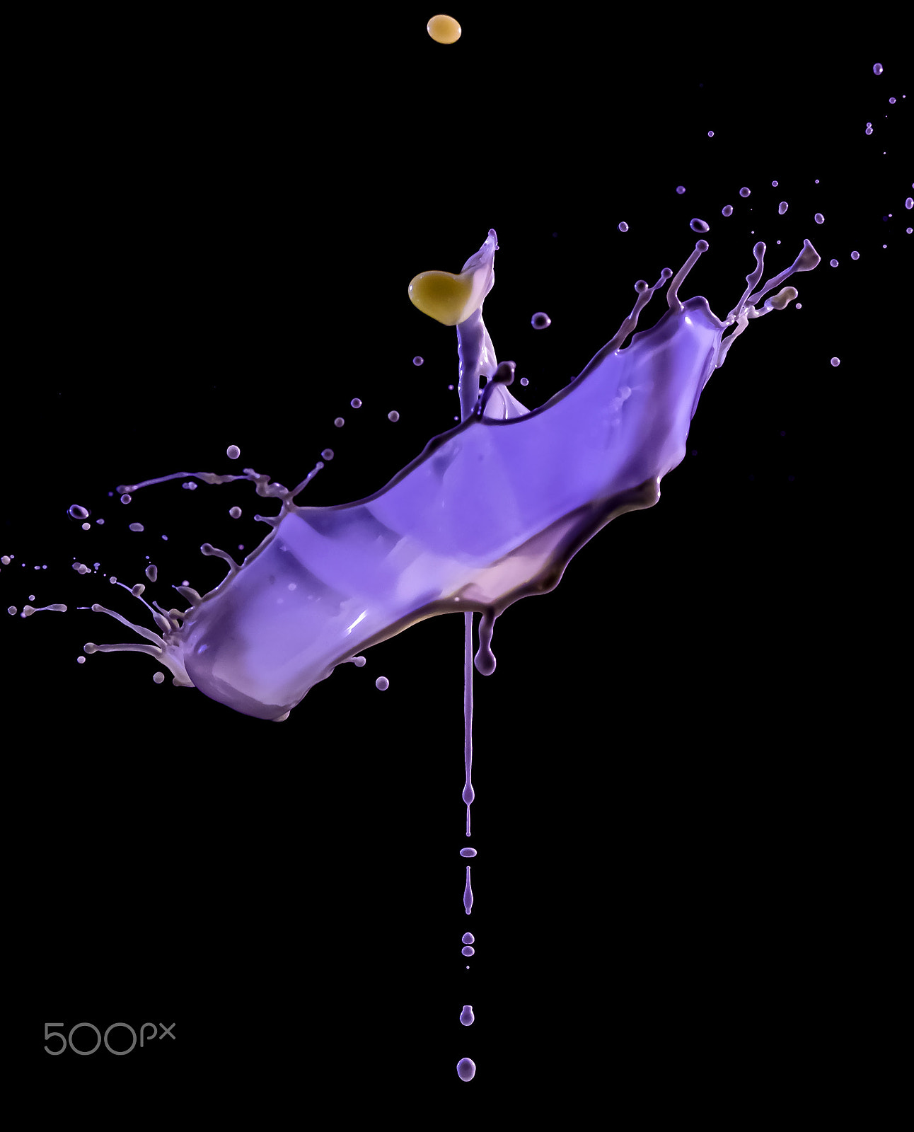 Canon EF 100mm F2.8 Macro USM sample photo. Purple splash photography