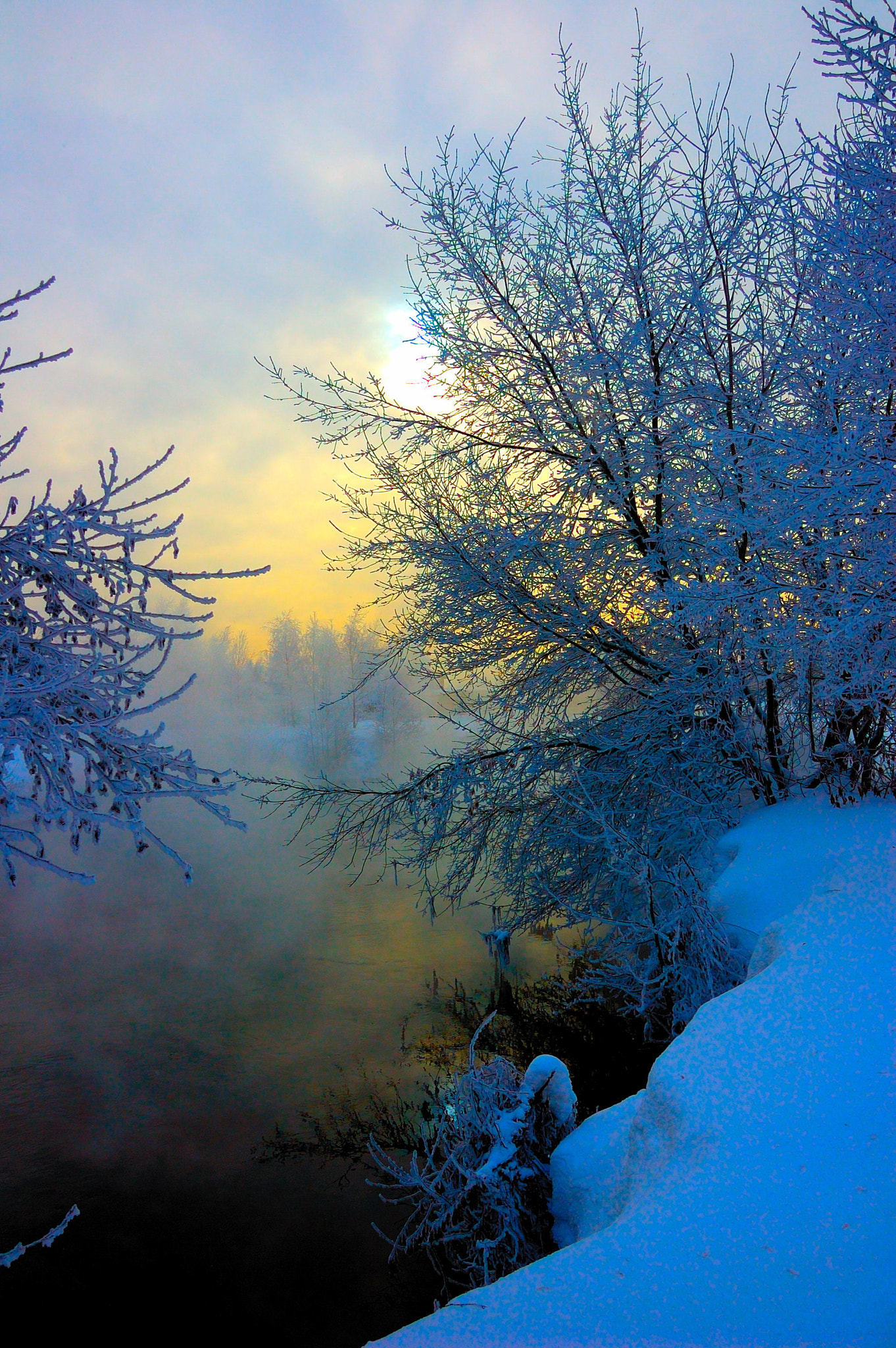 Nikon D40 + Sigma 18-50mm F2.8 EX DC Macro sample photo. Mystique of winter photography