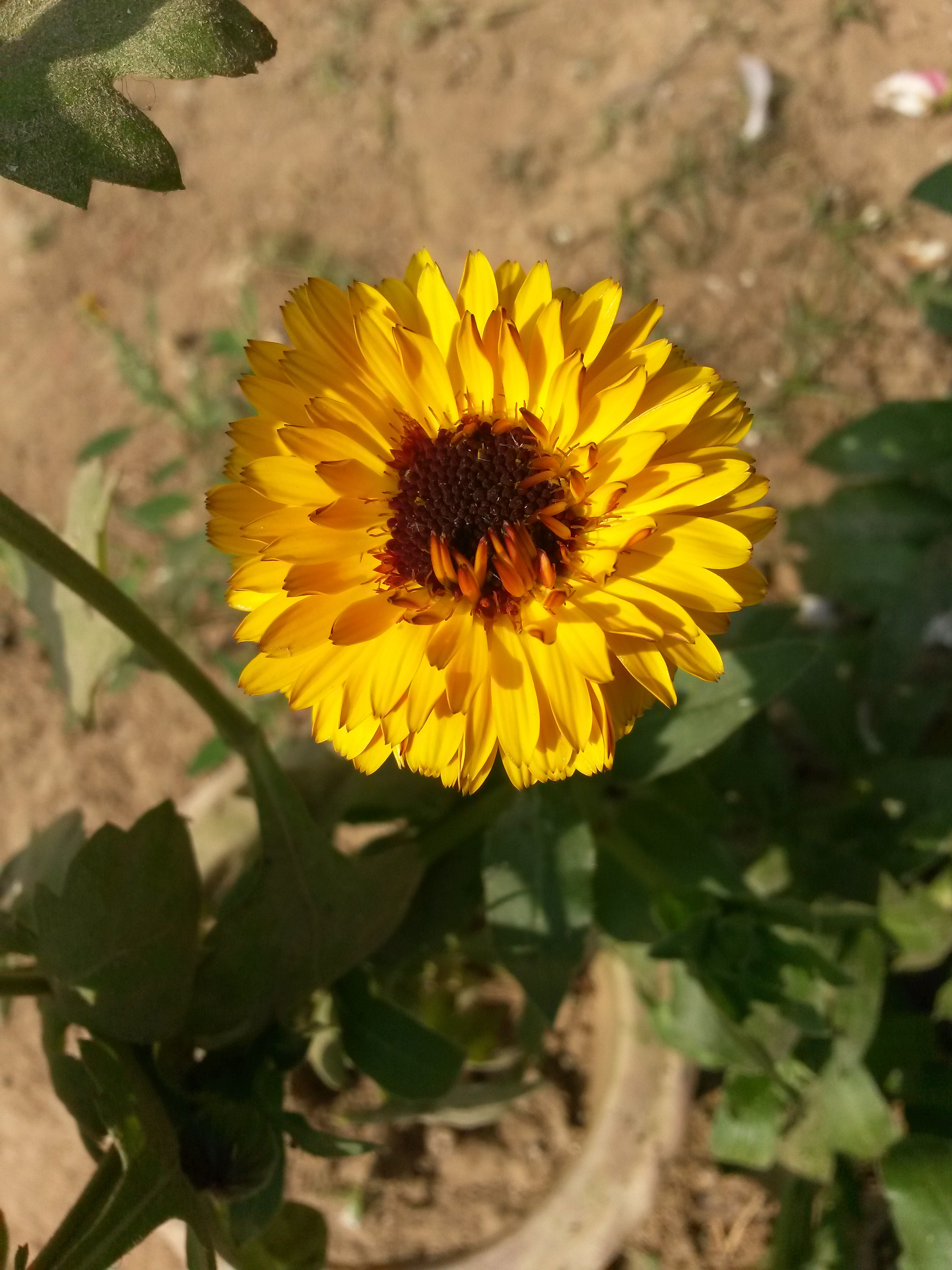Samsung Galaxy S4 Active sample photo. Colorful1 photography
