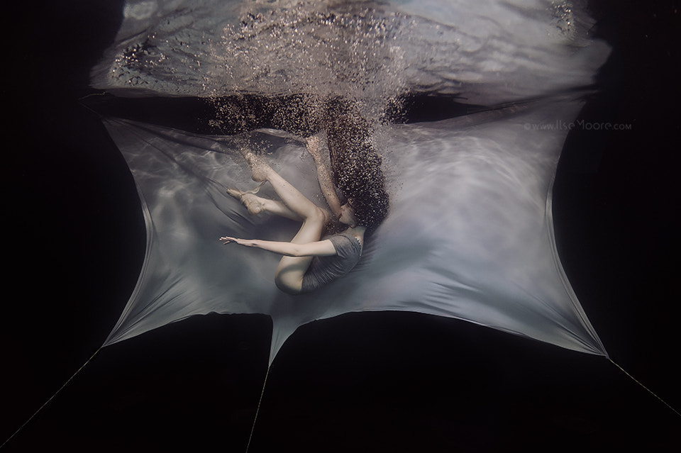 Nikon D4 + Nikon AF Fisheye-Nikkor 16mm F2.8D sample photo. Insomniac | the rise and fall photography