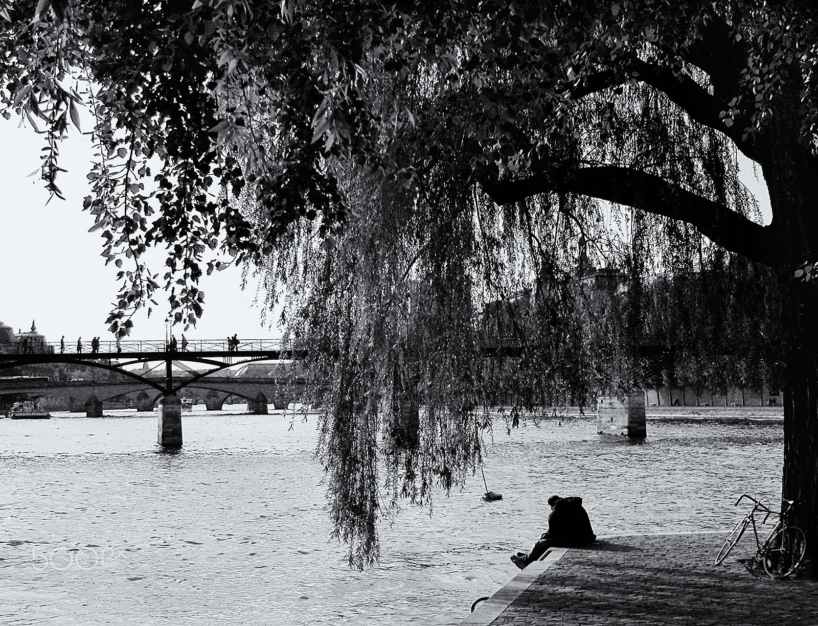 Nikon E5000 sample photo. L'île de la cité - paris - france photography