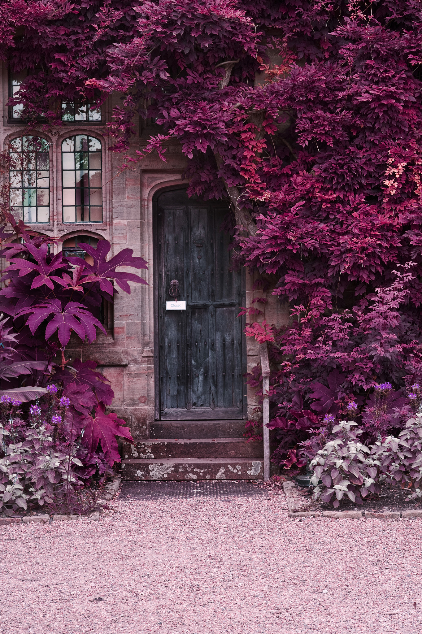 Nikon D700 + Sigma 105mm F2.8 EX DG Macro sample photo. Old wooden door of stone house with alternate surreal colored la photography