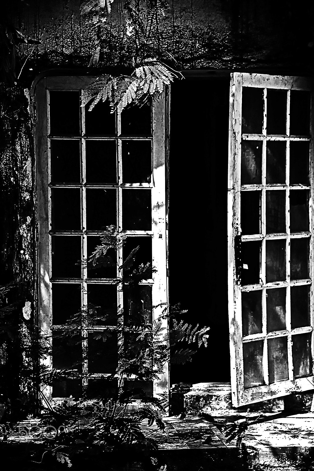 Sony DT 18-250mm F3.5-6.3 sample photo. Ab119 derelict photography