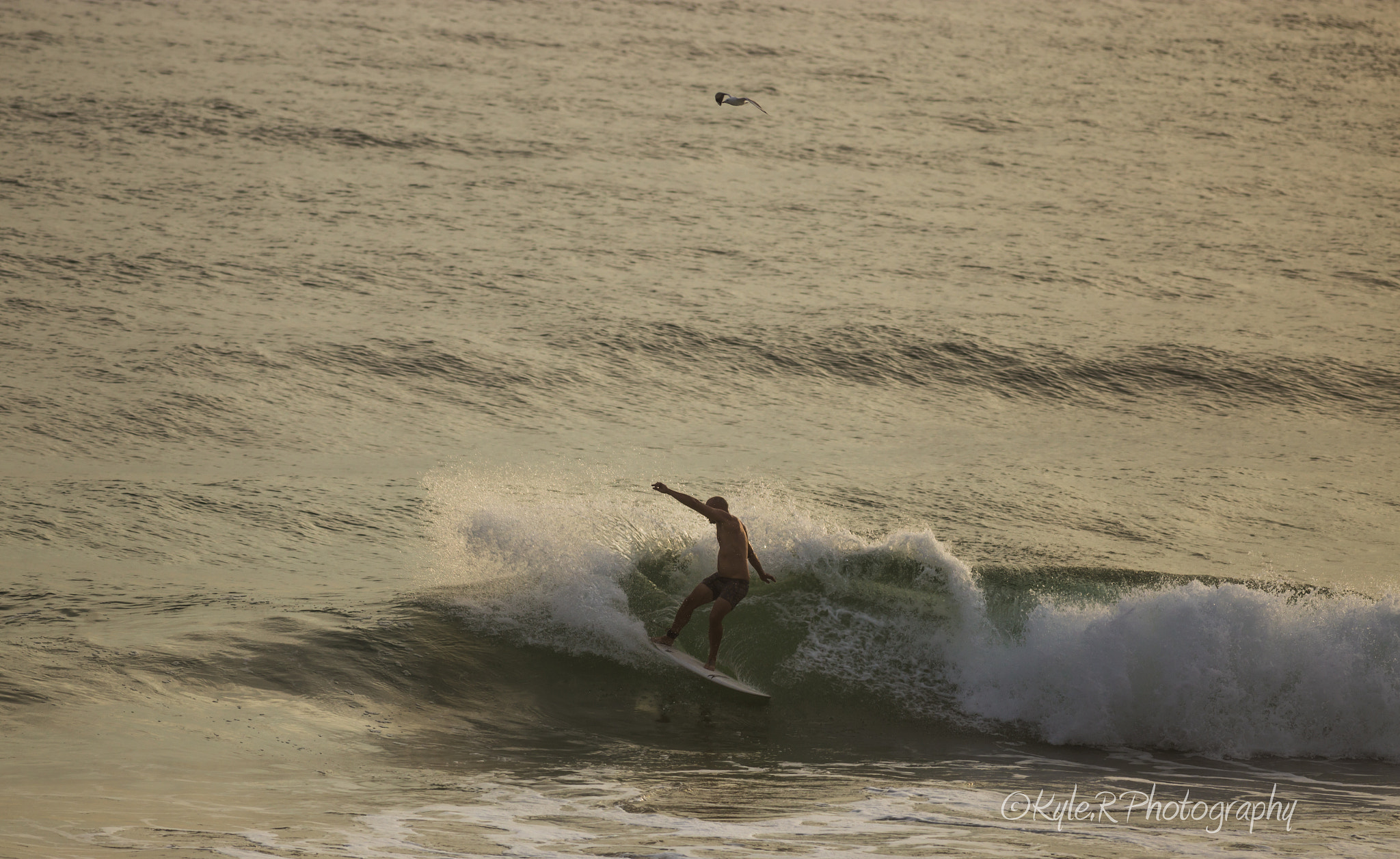 Canon EOS 6D + Canon EF 400mm F5.6L USM sample photo. Surfs up photography