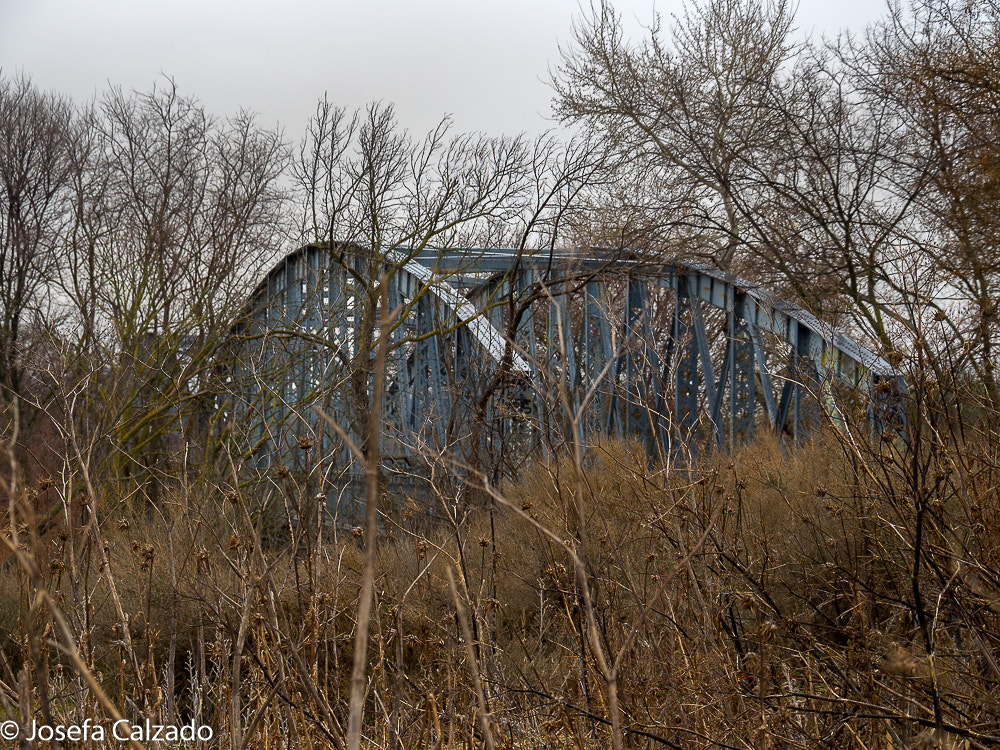 Olympus OM-D E-M10 + Tamron 14-150mm F3.5-5.8 Di III sample photo. Puente de arganda photography