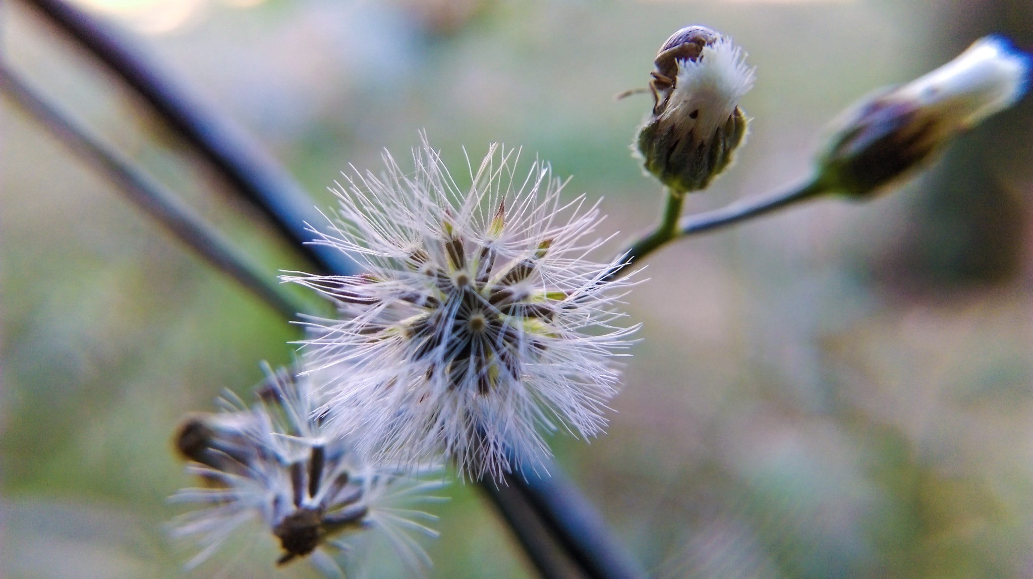 HTC ONE (E8) DUAL SIM sample photo. Fly photography